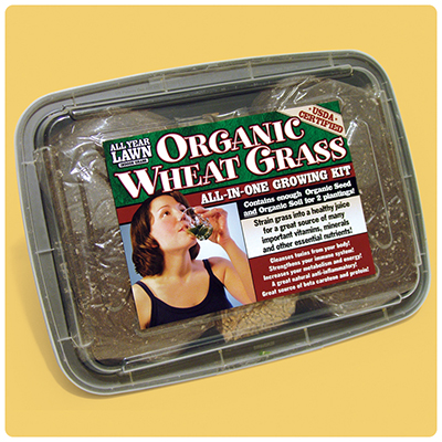 All-In-One Kit Label