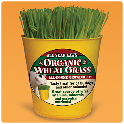 Label for Vinyl Packaging