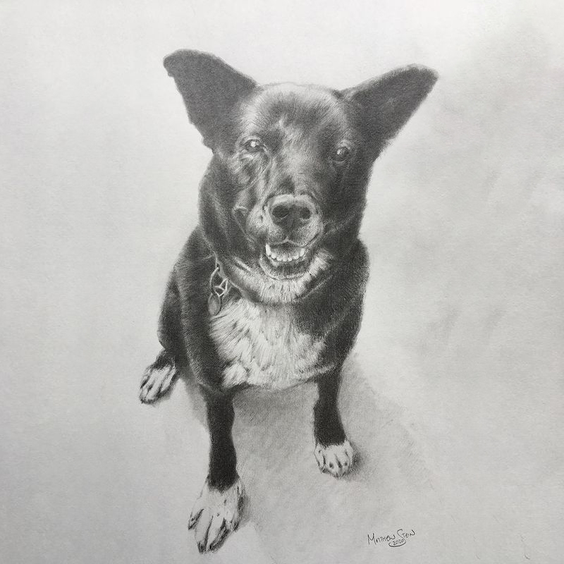 Last Chance Ranch Charity Commission