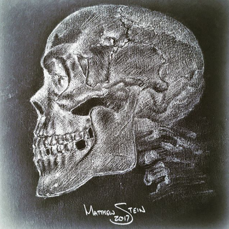 Graphite pencil drawing of a skull